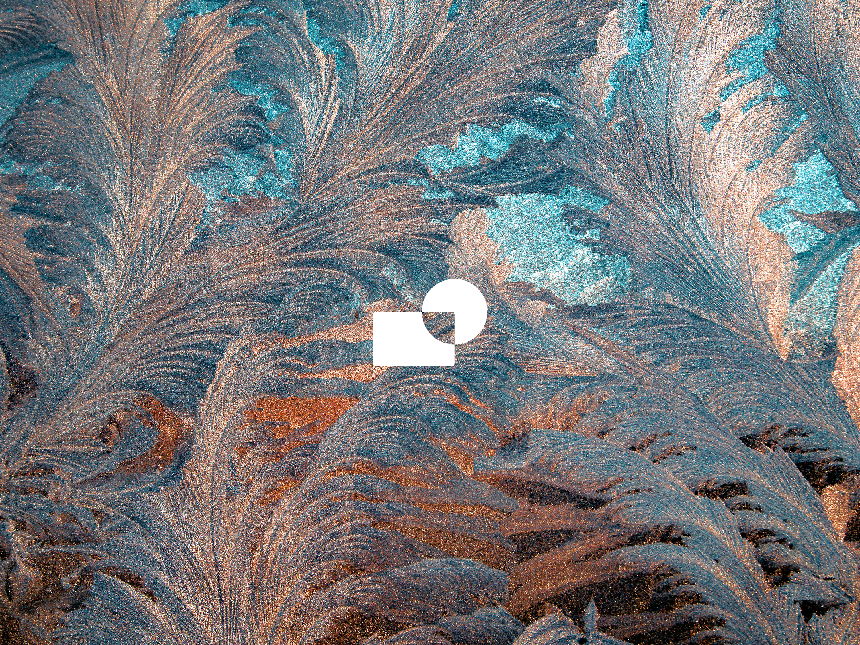 P001-1